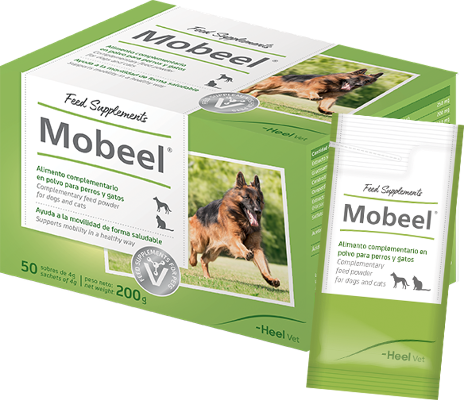 Mobeel-heel-veterinaria