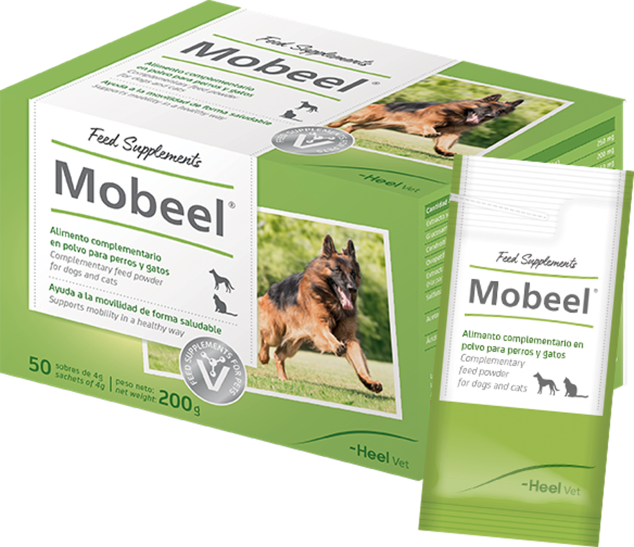 Mobeel-heel-veterinaria Mobeel-heel-veterinaria