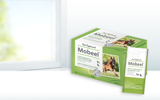 Mobeel, Ayuda a la movilidad de perros y gatos