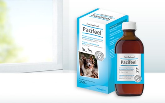 Pacifeel, contribuye a la relajación de perros y gatos