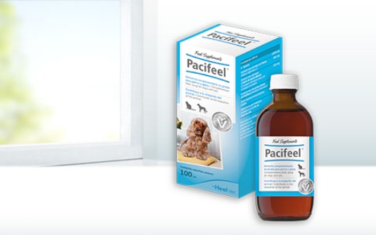 Pacifeel, contribuye a la relajación de perros y gatos